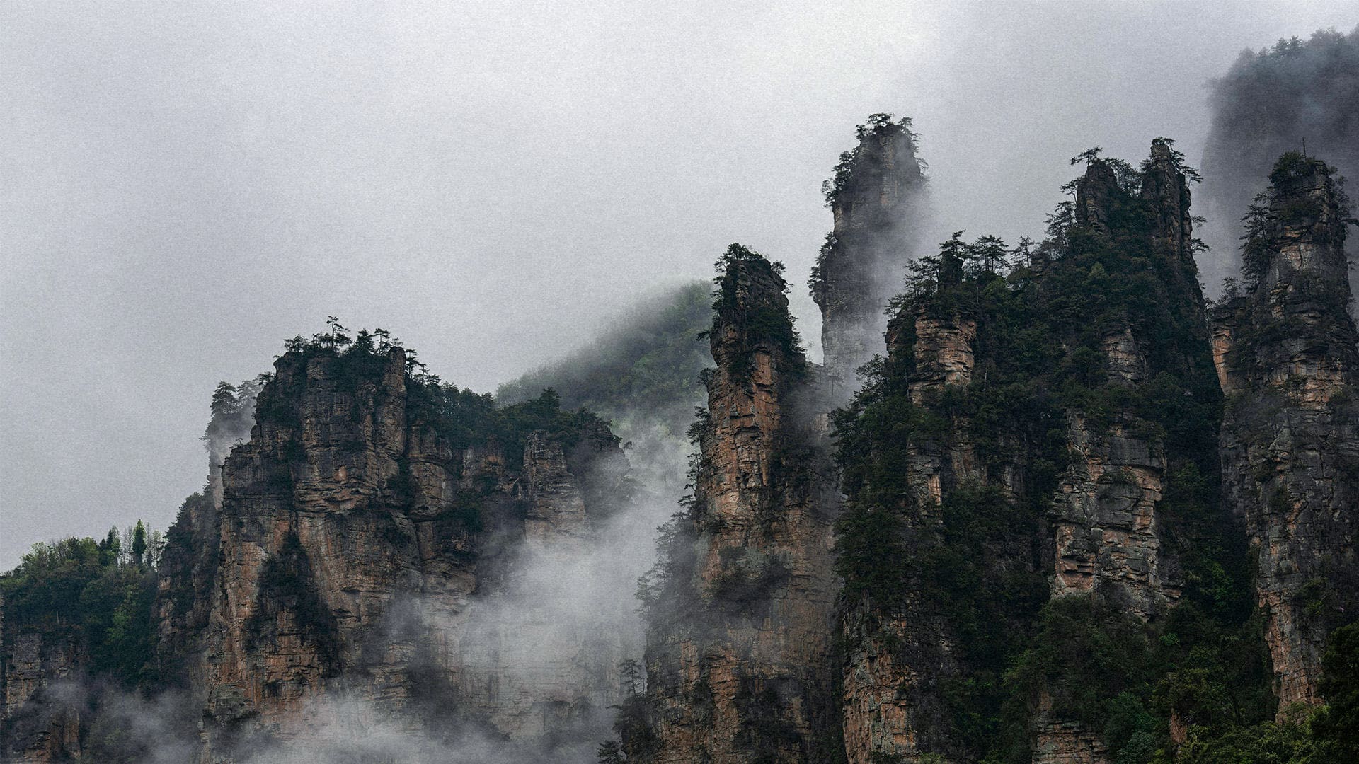 西双版纳云景旅行社有限公司驻马店第二网点 - 湖南张家界