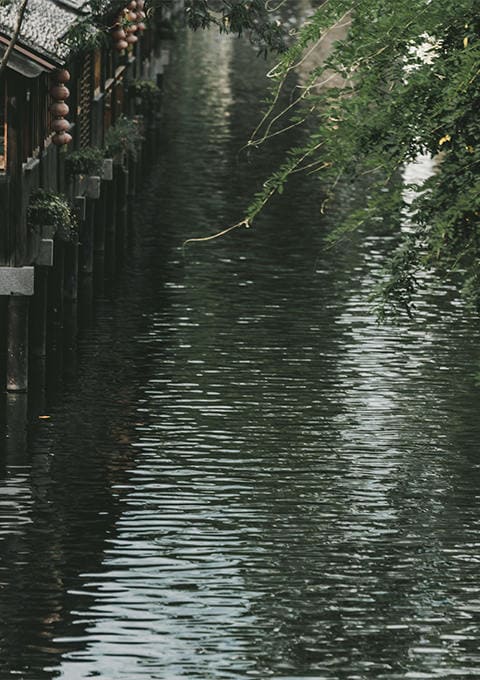 西双版纳云景旅行社有限公司驻马店第二网点