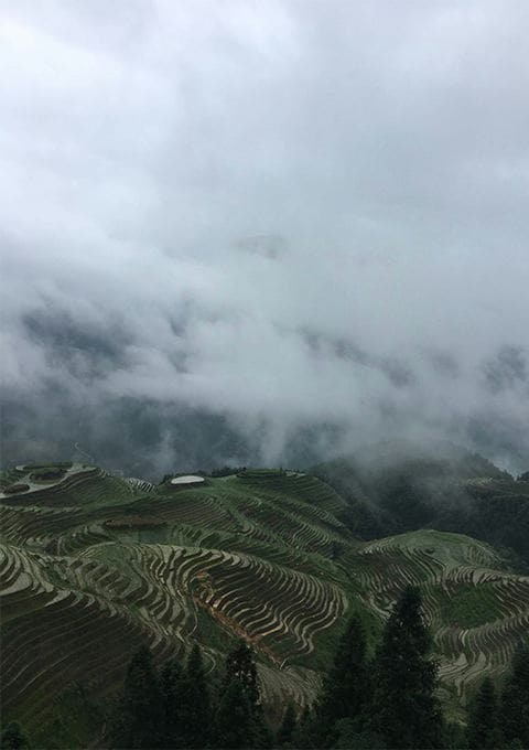 西双版纳云景旅行社有限公司驻马店第二网点